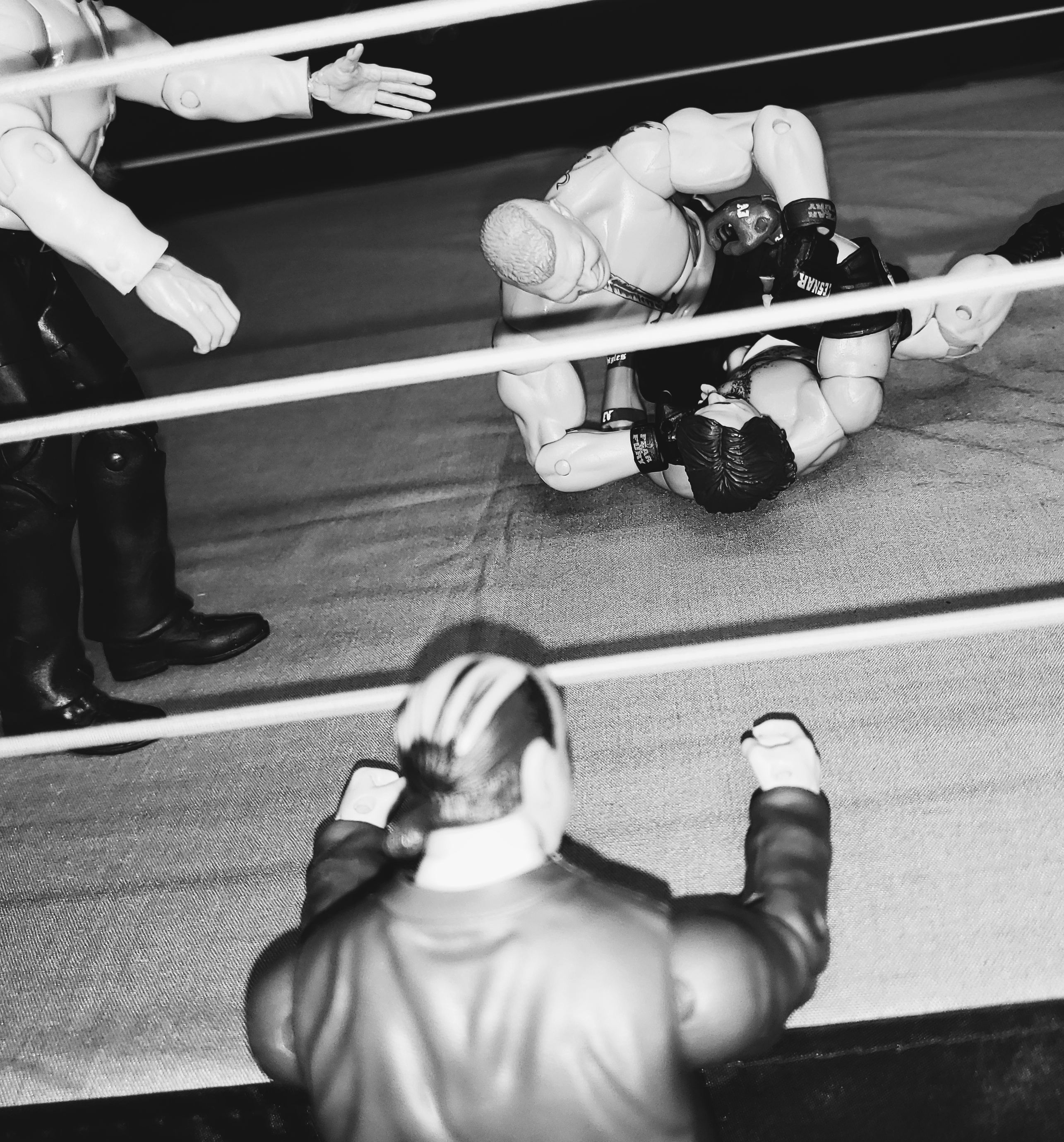 Tag Rope Wrestling - TRW - The first name in live action figure wrestling!